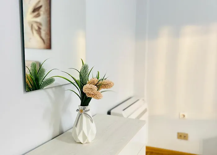 Families Or Friends 24-7 Selfcheck In * Tirana